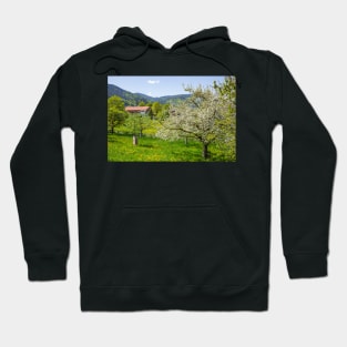 Flower meadow with fruit trees in spring, Bad Wiessee, Tegernsee Hoodie